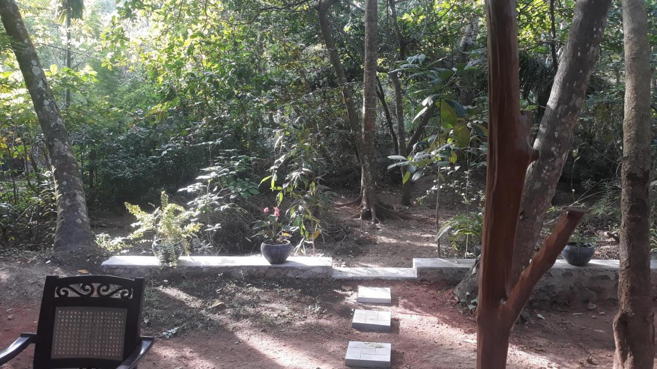 Freedom Villa Hiriketiya ดิคเวลลา ภายนอก รูปภาพ